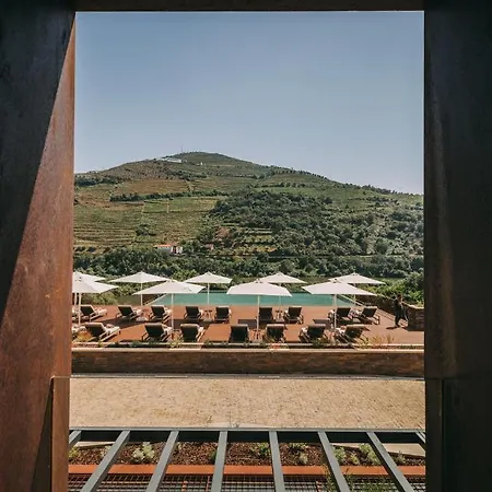 Torel Quinta Da Vacaria 5* Peso da Regua