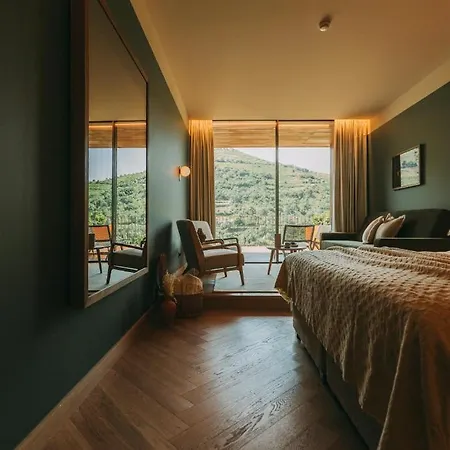 Torel Quinta Da Vacaria 5* Peso da Régua
