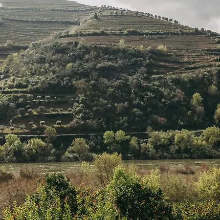 Hotel Torel Quinta Da Vacaria