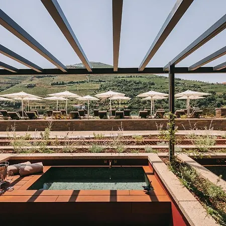 Torel Quinta Da Vacaria Hotel Peso da Régua